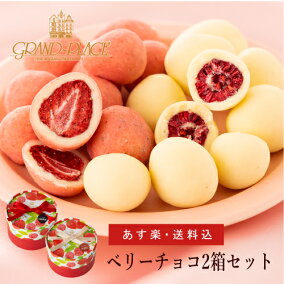 楽天市場 フルーツチョコレート イベント 祝日 バレンタインデー 人気ランキング1位 売れ筋商品 楽天市場 フルーツチョコレート イベント 祝日 バレンタインデー 人気ランキング1位 売れ筋商品